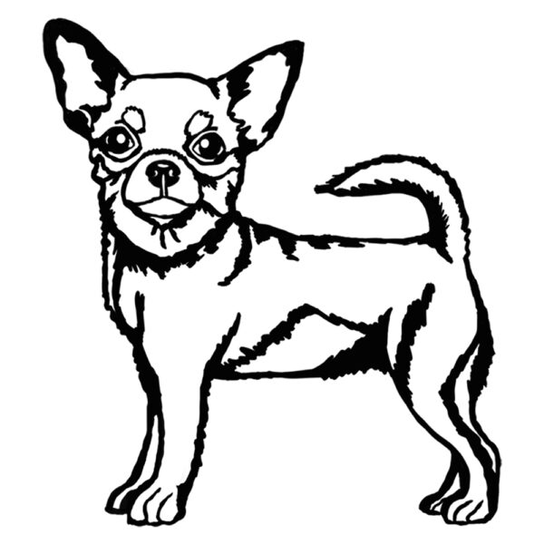 Chihuahua