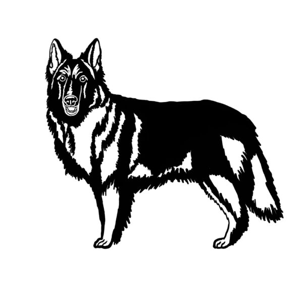 Groenendael Shepherd