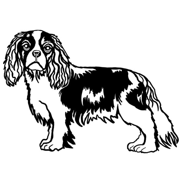 King Charles