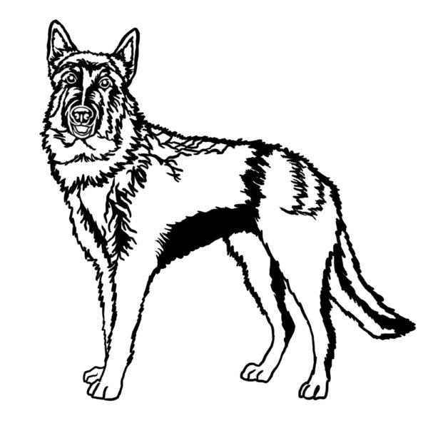 Laekenois