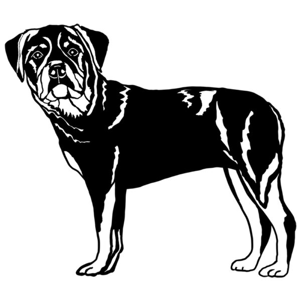 Rottweiler