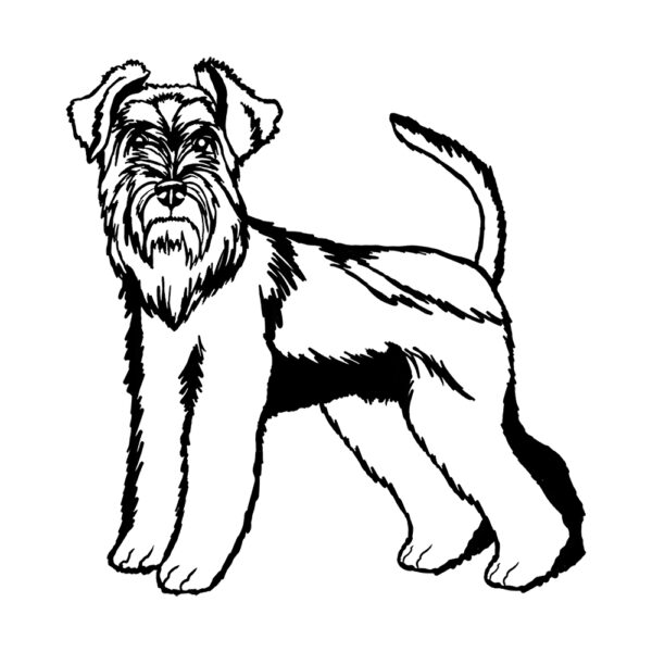 Miniature Schnauzer