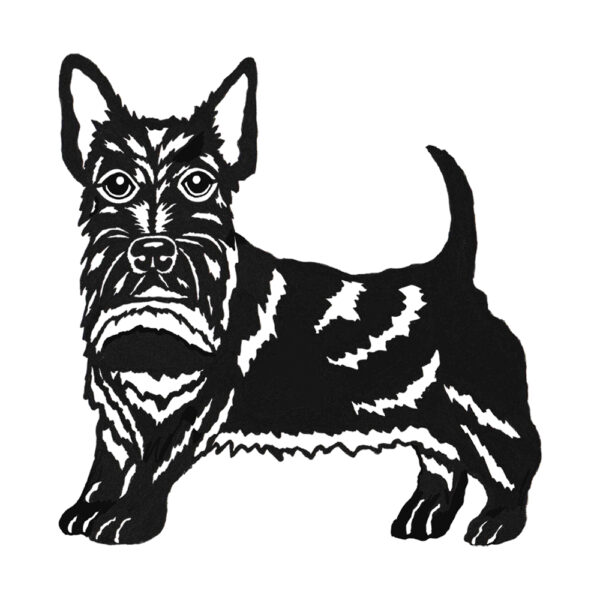 Scottish Terrier