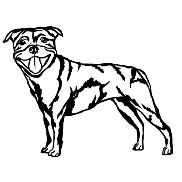 Staffordshire Bull Terrier